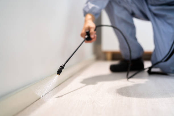 Rodent Entry Point Assessment in Soquel