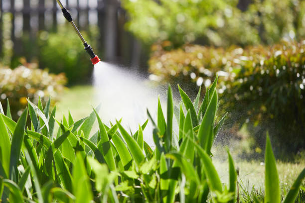 Tamper-Resistant Bait Stations for Rodents in Soquel