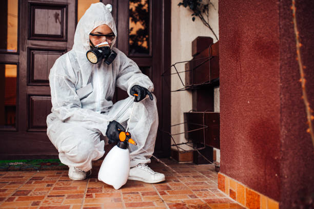 Attic and Crawl Space Rodent Treatment in Soquel